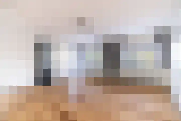Veenpluis 6 Den Haag thumbnail 6