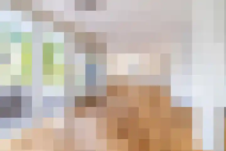 Veenpluis 6 Den Haag thumbnail 7