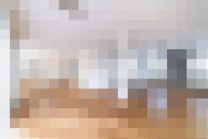 Veenpluis 6 Den Haag thumbnail 8