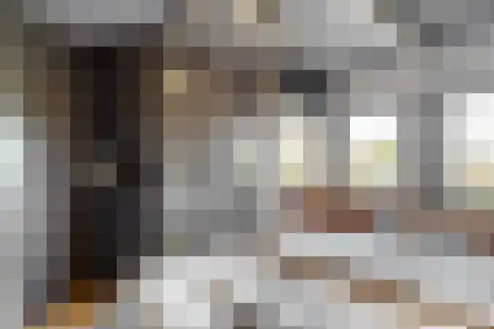 Veenpolderdijk 4 A Assendelft thumbnail 23