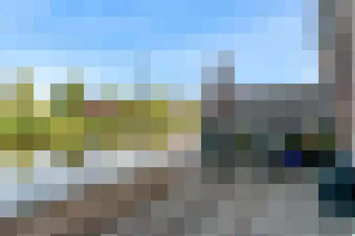 Veenpolderdijk 4 A Assendelft thumbnail 36