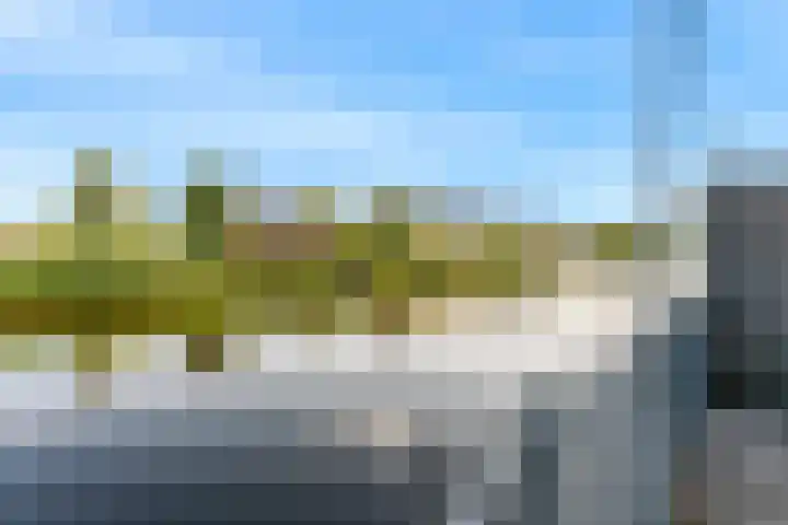 Veenpolderdijk 4 A Assendelft thumbnail 39