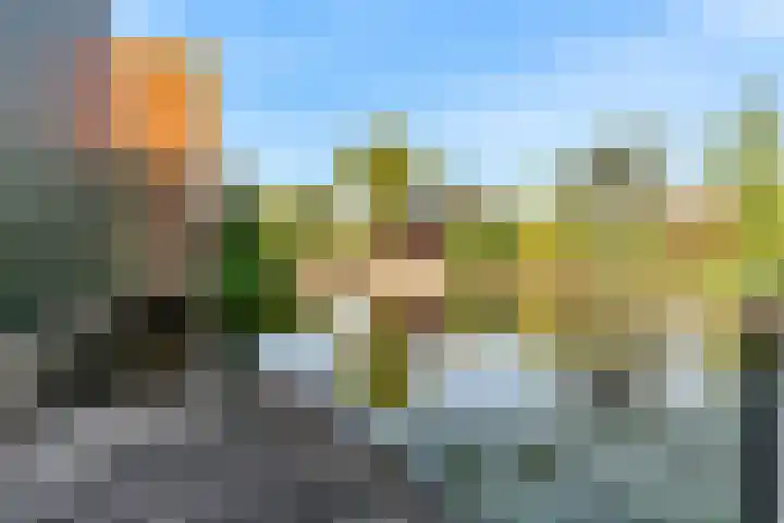 Veenpolderdijk 4 A Assendelft thumbnail 40
