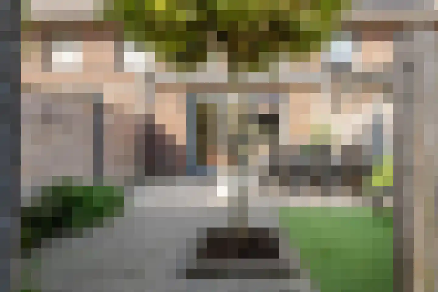 Veenraden 13 Veenendaal thumbnail 18