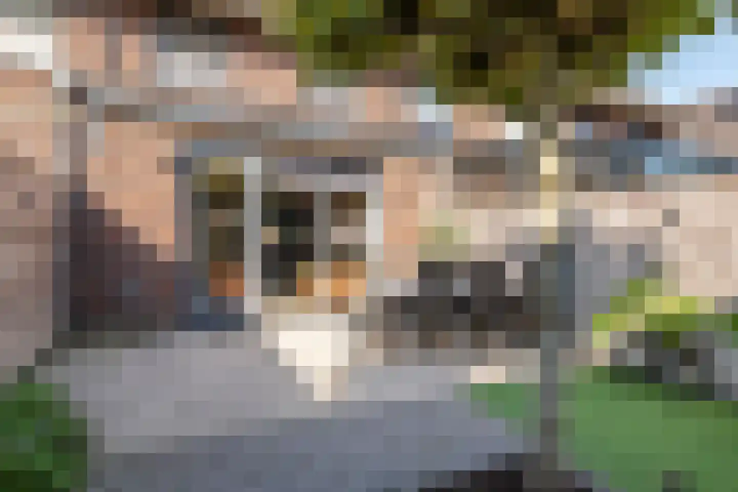 Veenraden 13 Veenendaal thumbnail 19