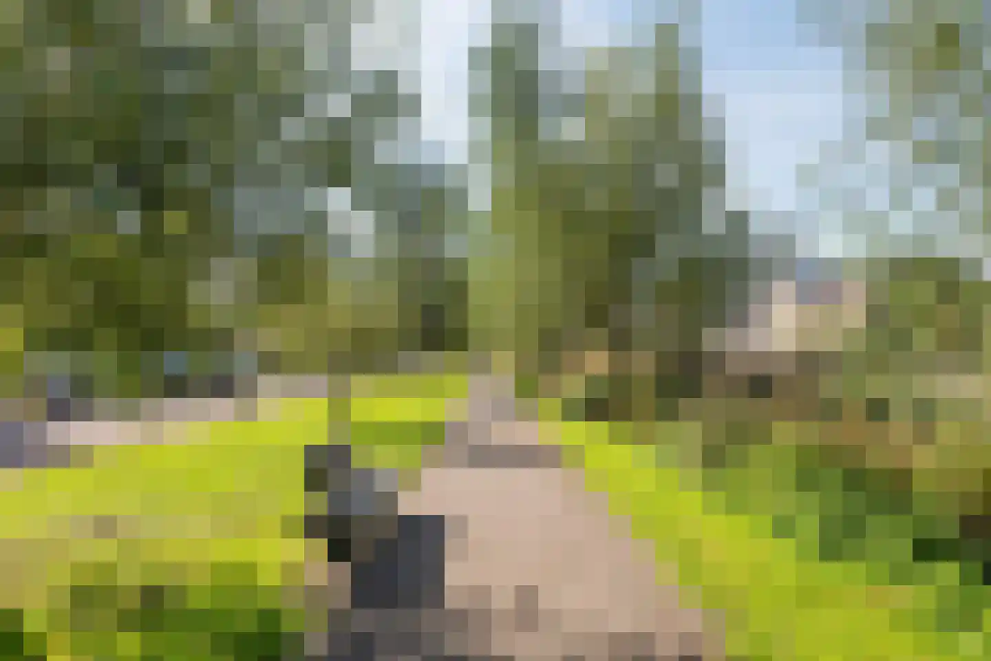 Veenraden 13 Veenendaal thumbnail 37
