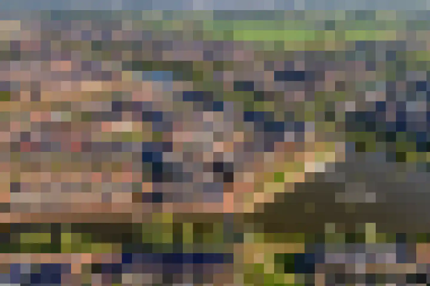 Veenraden 13 Veenendaal thumbnail 41