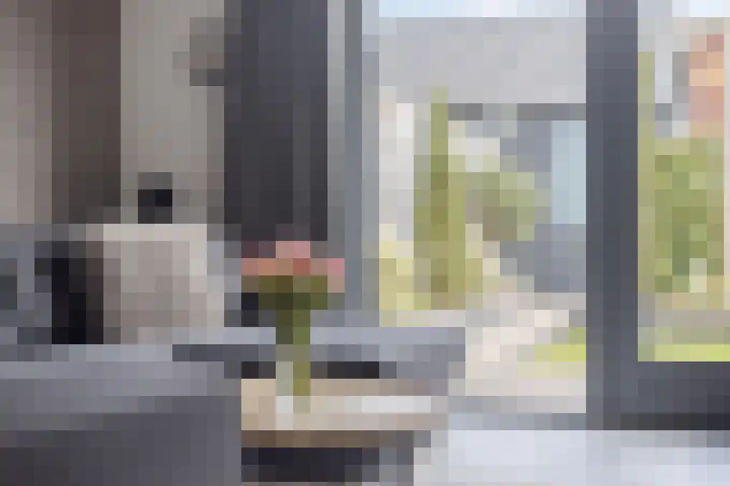 Veenraden 27 Veenendaal thumbnail 9