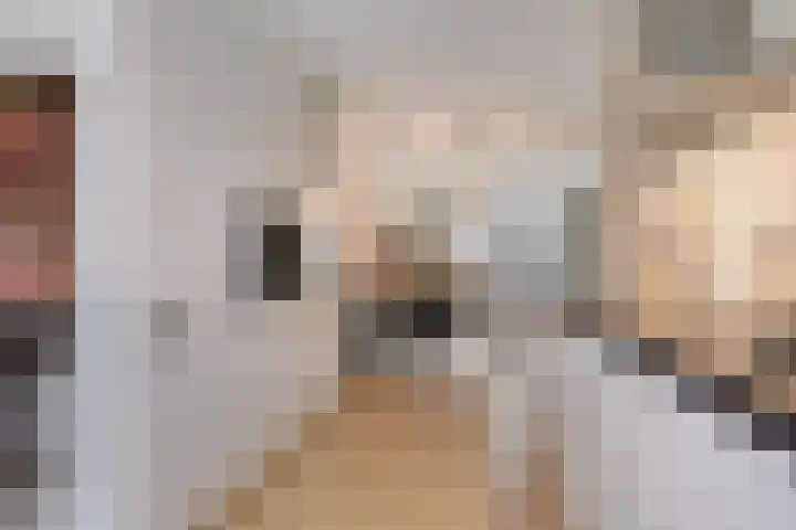 Veenraden 4 Veenendaal thumbnail 12