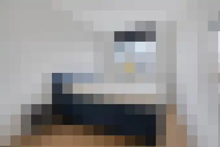 Veenraden 4 Veenendaal thumbnail 13
