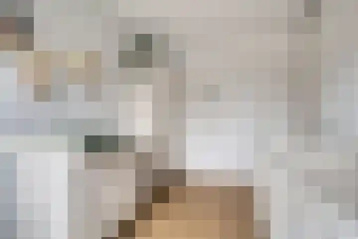 Veenraden 4 Veenendaal thumbnail 16