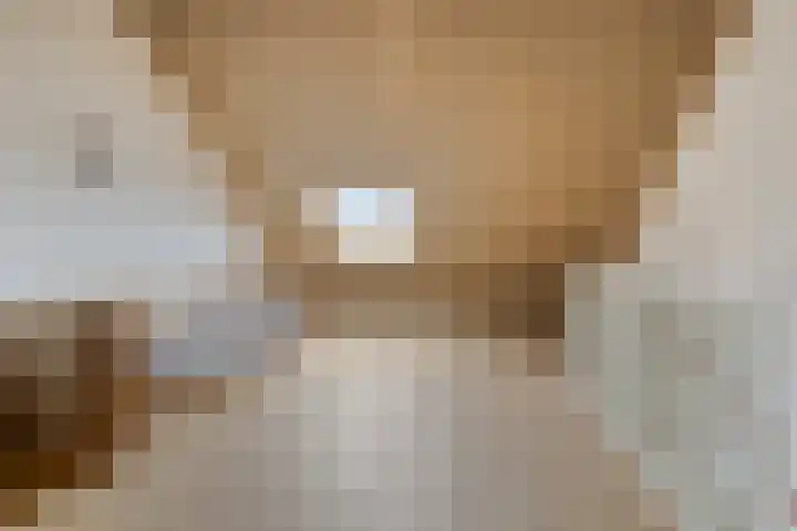 Veenraden 4 Veenendaal thumbnail 21