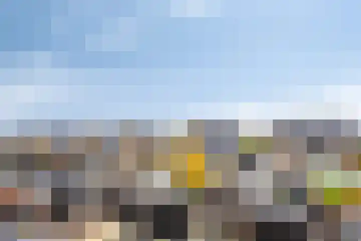 Veenraden 4 Veenendaal thumbnail 22