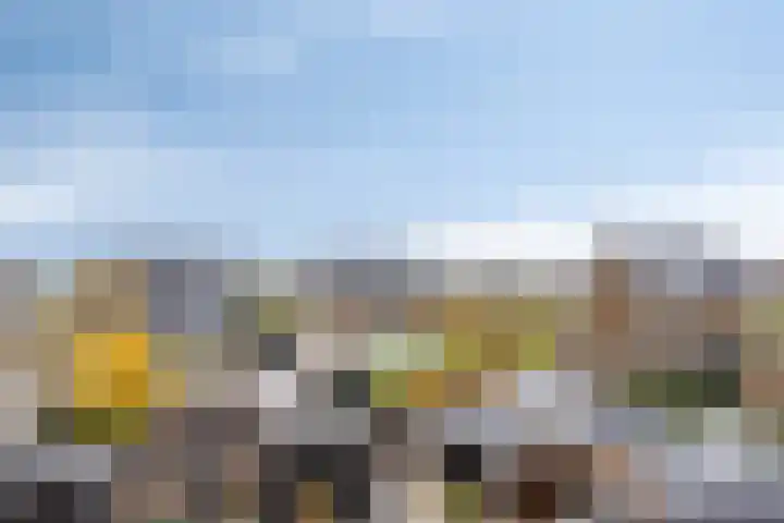 Veenraden 4 Veenendaal thumbnail 23