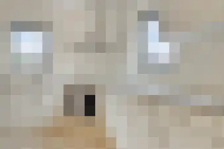 Veenroede 1 A Emmer-Compascuum thumbnail 23
