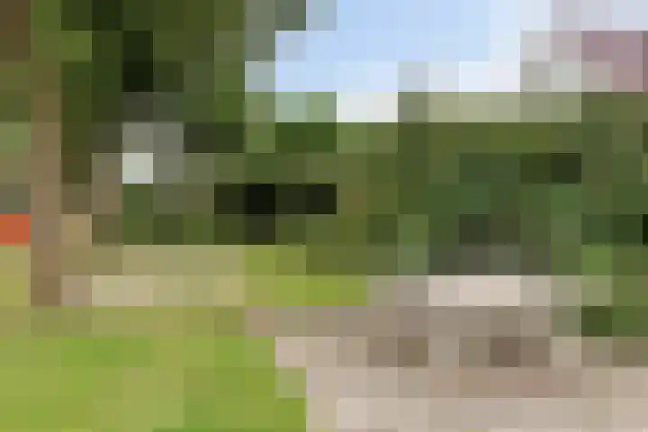 Veenroede 1 A Emmer-Compascuum thumbnail 36