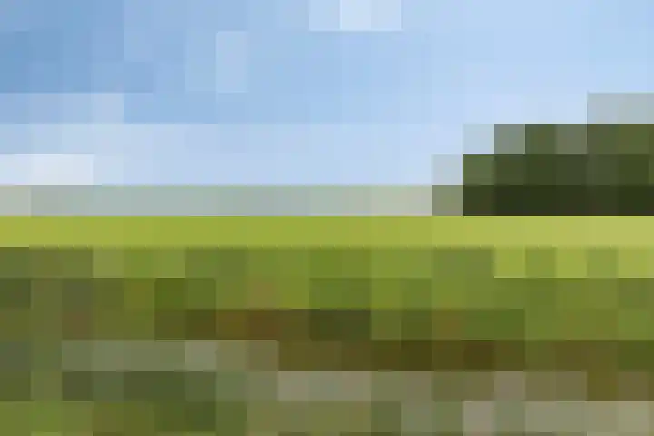 Veenroede 1 A Emmer-Compascuum thumbnail 37