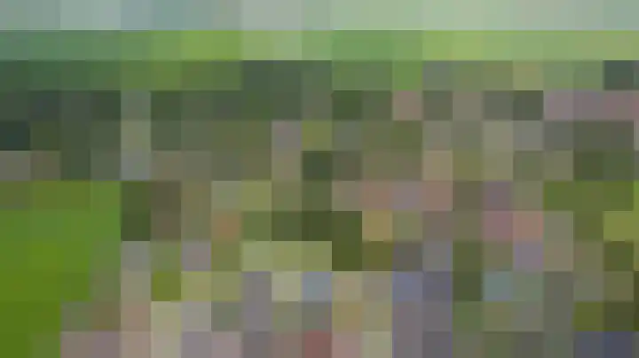 Veenroede 1 A Emmer-Compascuum thumbnail 41