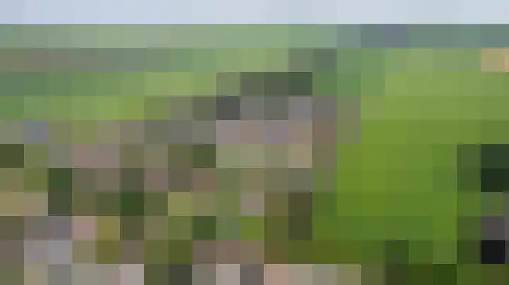 Veenroede 1 A Emmer-Compascuum thumbnail 42