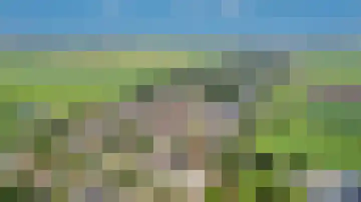 Veenroede 1 A Emmer-Compascuum thumbnail 43