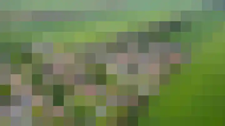 Veenroede 1 A Emmer-Compascuum thumbnail 45