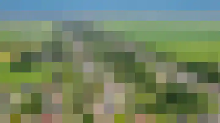 Veenroede 1 A Emmer-Compascuum thumbnail 46