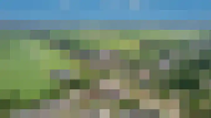 Veenroede 1 A Emmer-Compascuum thumbnail 47