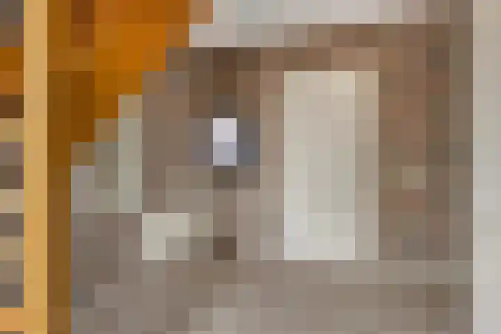 Veenroede 1 A Emmer-Compascuum thumbnail 9