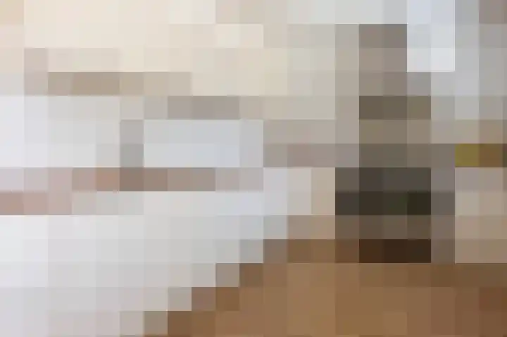 Veenroede 13 Emmer-Compascuum thumbnail 12