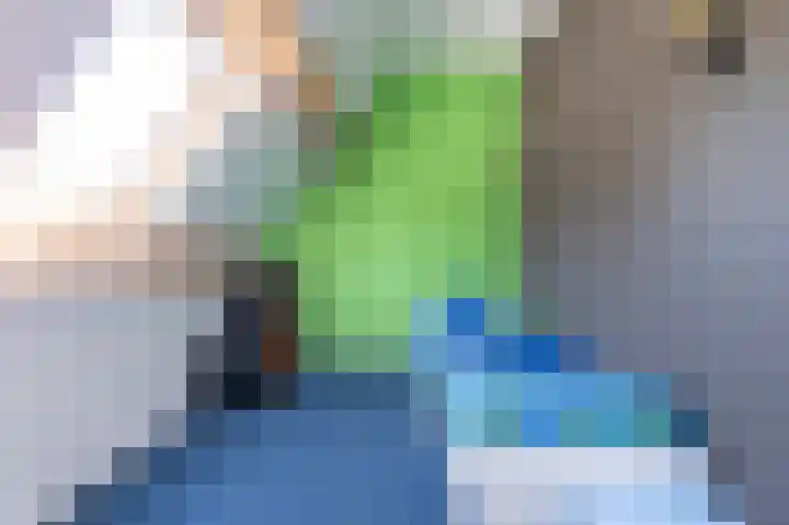 Veenroede 13 Emmer-Compascuum thumbnail 27
