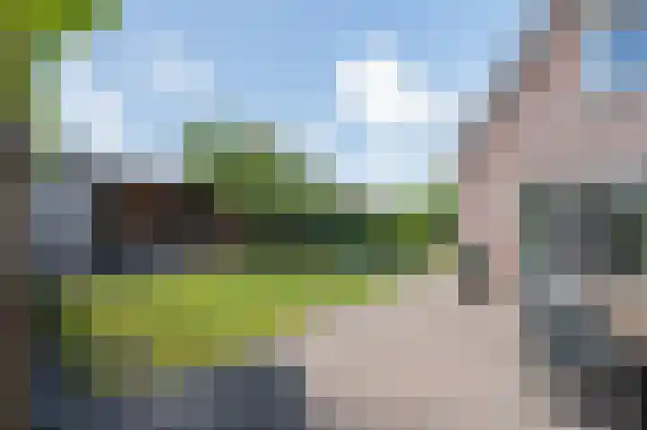 Veenroede 13 Emmer-Compascuum thumbnail 29
