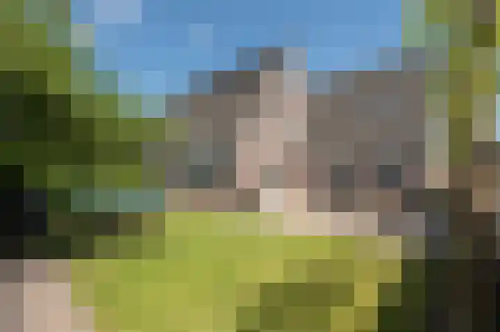 Veenroede 13 Emmer-Compascuum thumbnail 30