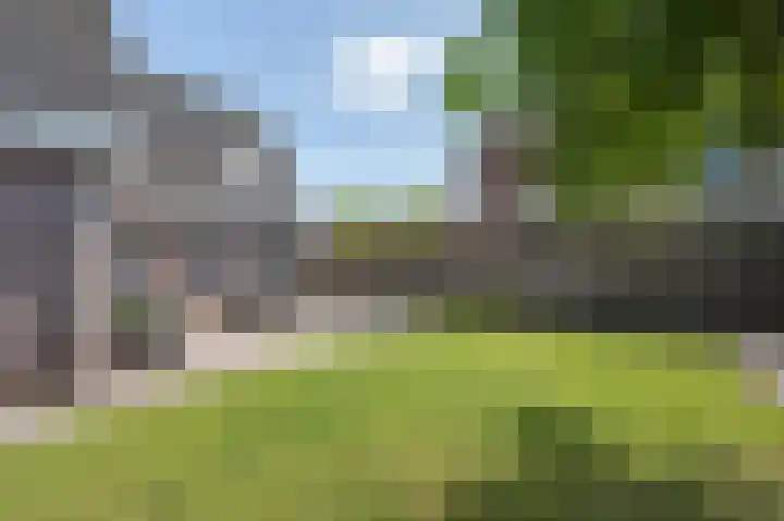 Veenroede 13 Emmer-Compascuum thumbnail 31