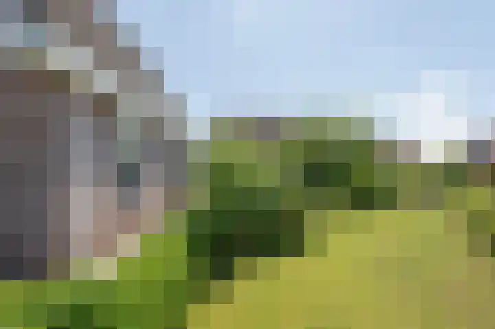 Veenroede 13 Emmer-Compascuum thumbnail 33