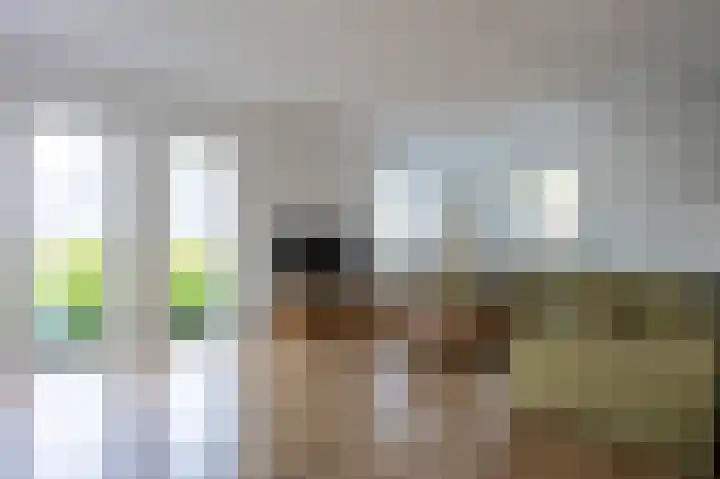 Veenroede 13 Emmer-Compascuum thumbnail 5