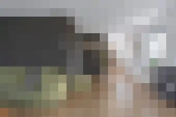 Veenroede 13 Emmer-Compascuum thumbnail 7