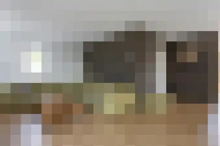 Veenroede 13 Emmer-Compascuum thumbnail 8