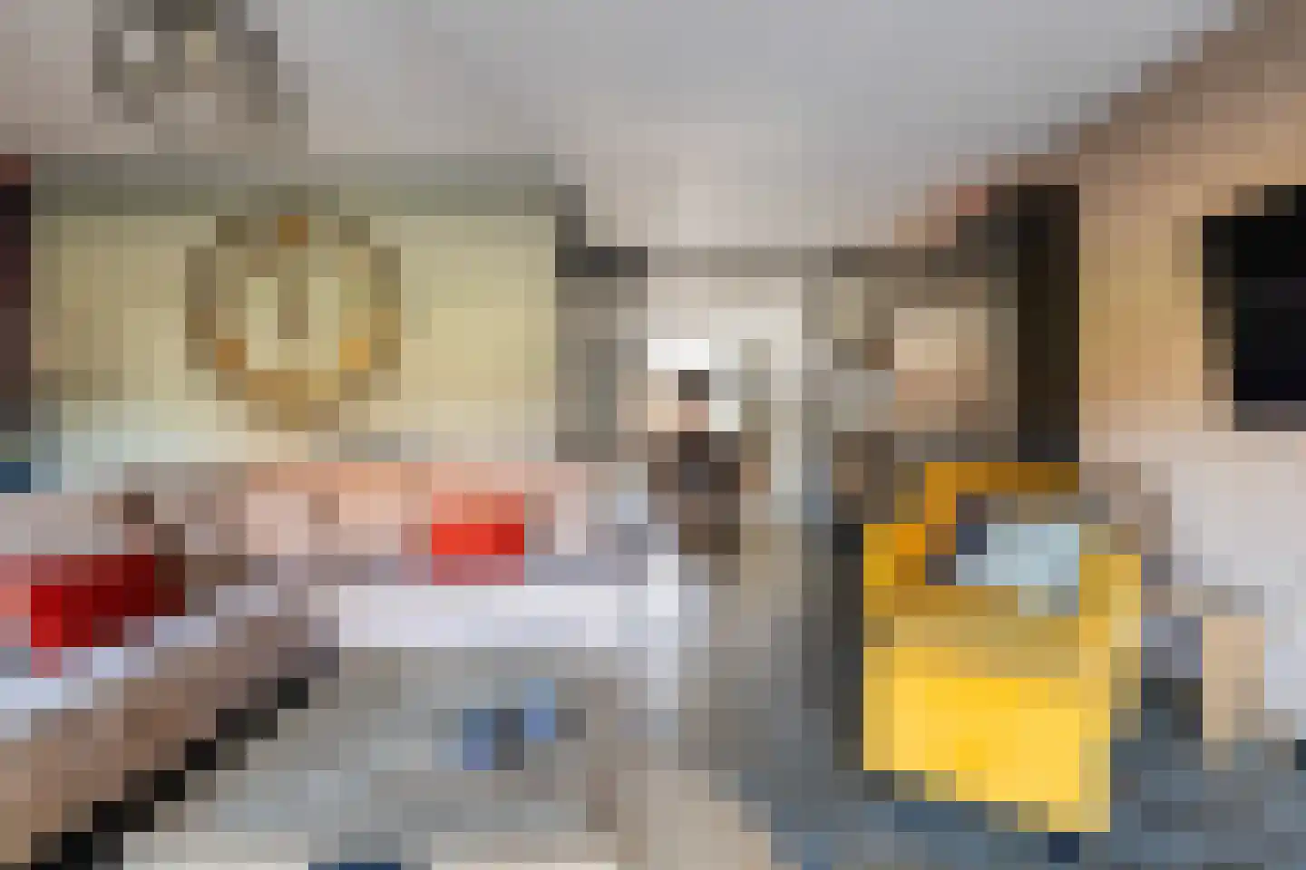 Veenroede 15 Emmer-Compascuum thumbnail 11