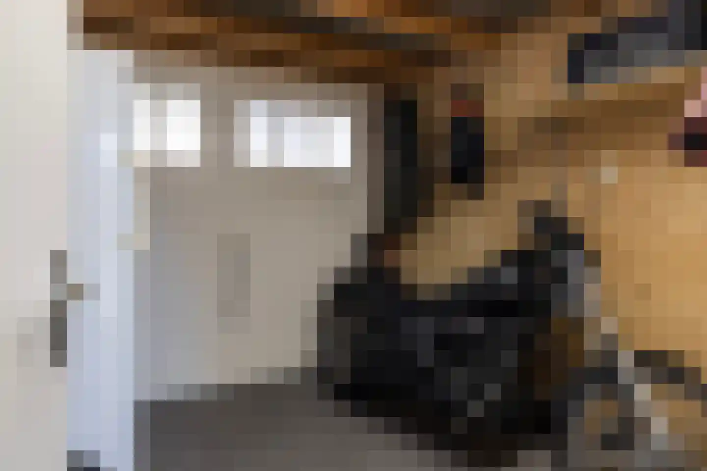 Veenroede 15 Emmer-Compascuum thumbnail 24