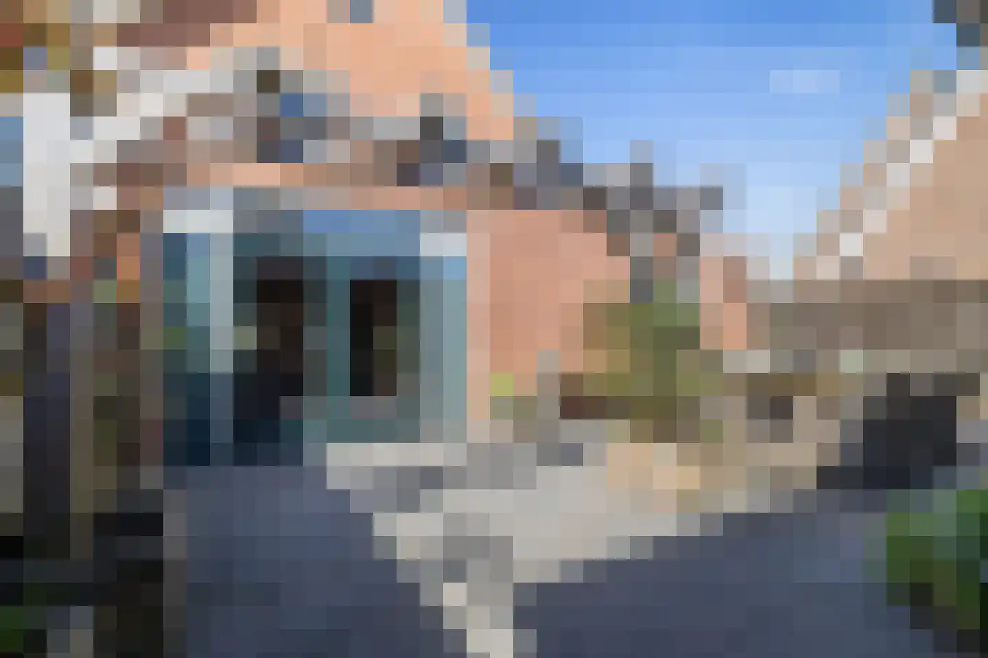 Veenroede 15 Emmer-Compascuum thumbnail 39