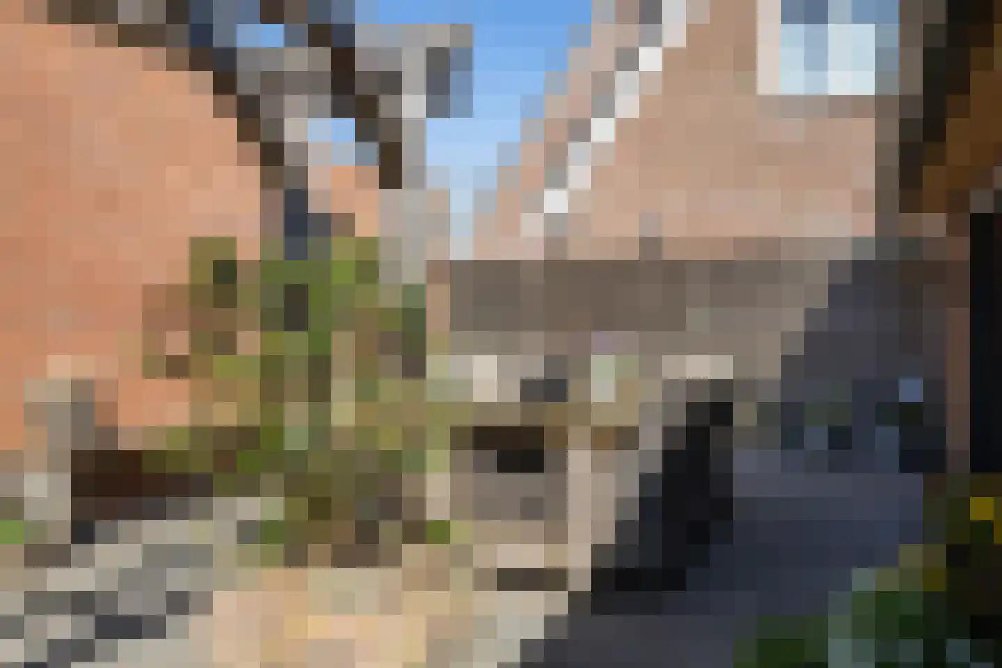 Veenroede 15 Emmer-Compascuum thumbnail 41