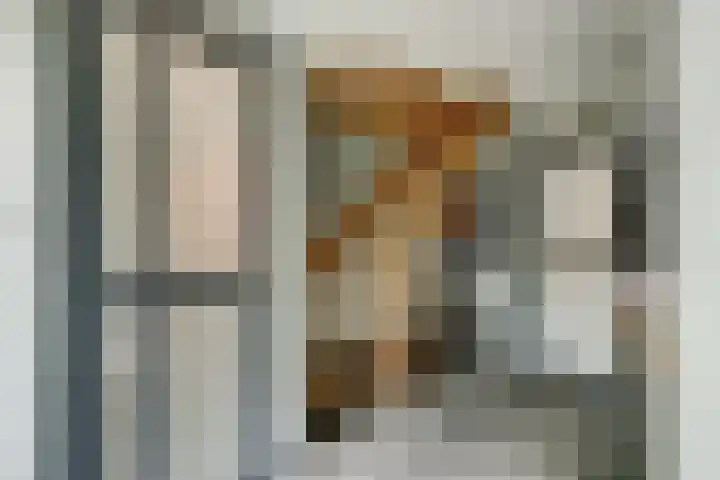 Veenroede 18 Emmer-Compascuum thumbnail 17