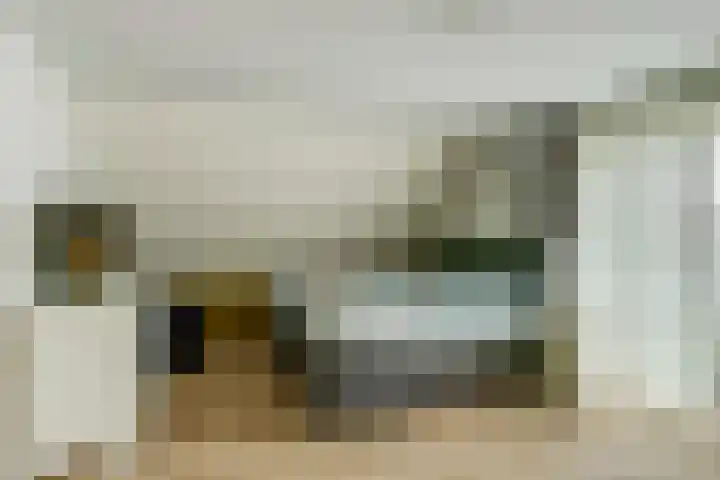 Veenroede 18 Emmer-Compascuum thumbnail 21