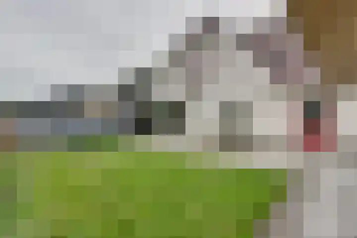 Veenroede 18 Emmer-Compascuum thumbnail 33