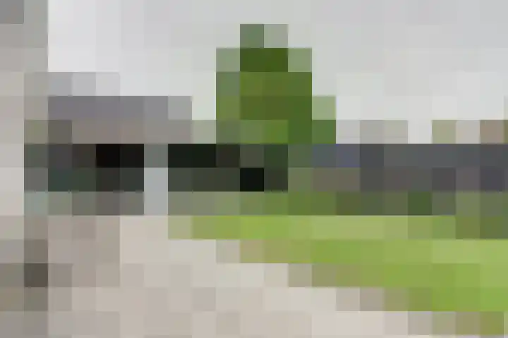 Veenroede 18 Emmer-Compascuum thumbnail 35