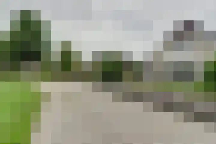 Veenroede 18 Emmer-Compascuum thumbnail 38
