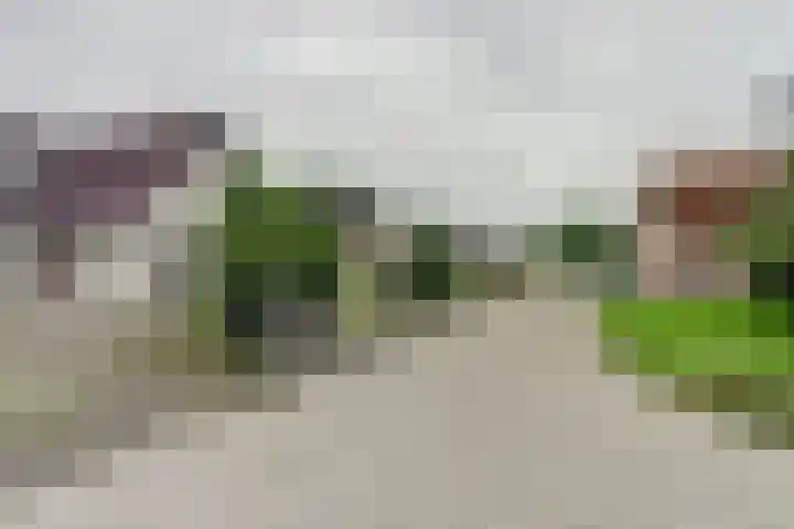 Veenroede 18 Emmer-Compascuum thumbnail 39