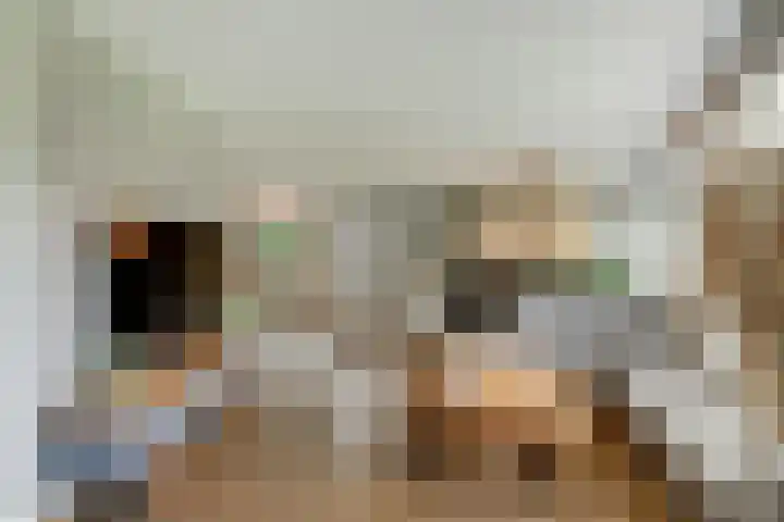 Veenroede 18 Emmer-Compascuum thumbnail 4
