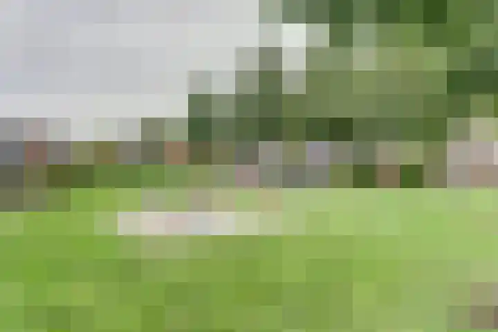 Veenroede 18 Emmer-Compascuum thumbnail 40