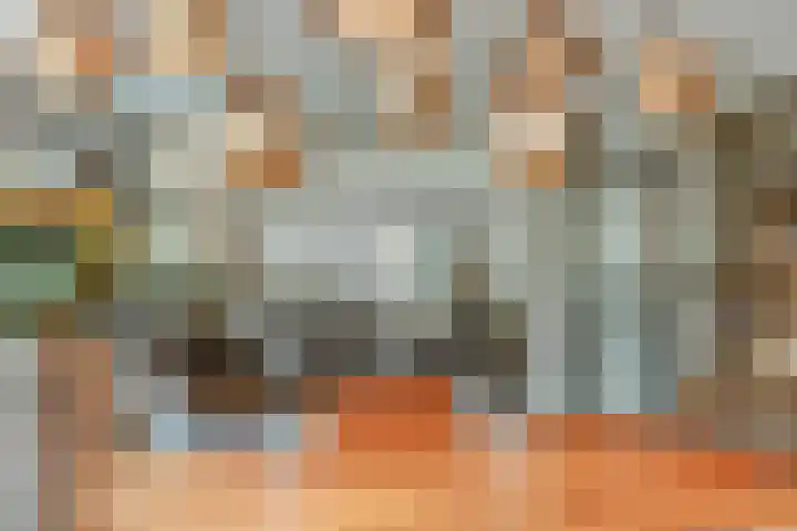 Veenroede 18 Emmer-Compascuum thumbnail 5